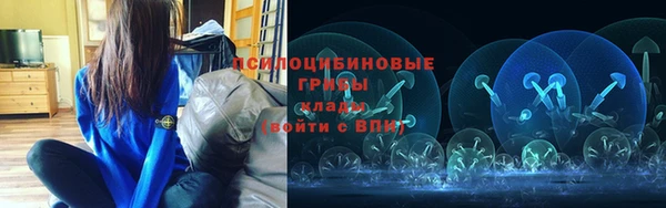 герыч Новодвинск