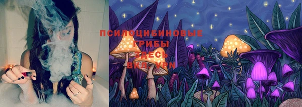 мяу мяу мука Новозыбков