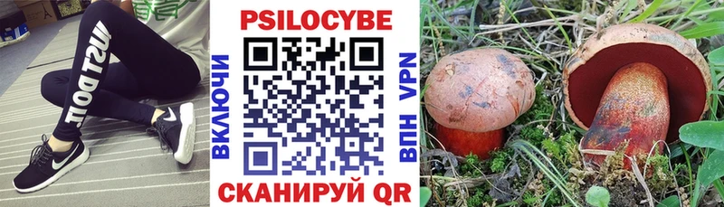 Галлюциногенные грибы Magic Shrooms  Палласовка 